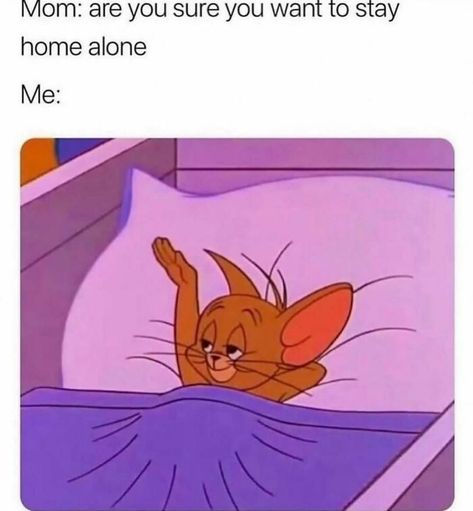 Funny-Introvert-Memes-Winningintroverts Introverts Memes Funny, Introvert Quotes Funny, Funny Introvert Quotes, Introvert Meme, Introvert Funny, Social Battery, Studying Memes, Human Personality, Introvert Quotes