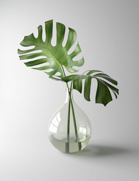 Vase With Monstera Leaf, Still Life Pictures, Character Artist, Minimal Photography, Still Life Photos, Brand Shop, Forest Photography, Accessories Brand, Color Studies