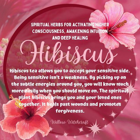 Hibiscus Herb Magic, Hibiscus Flower Witchcraft Uses, Magical Properties Of Hibiscus, Hibiscus Flower Magical Properties, Hibiscus Spiritual Benefits, Hibiscus Witchcraft, Hibiscus Spiritual Meaning, Hibiscus Magical Properties, Hibiscus Properties