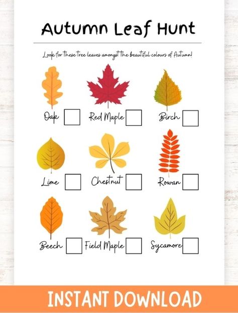 Fall Leaf Scavenger Hunt for Kids Going On A Leaf Hunt Preschool, Tree Scavenger Hunt, Leaf Scavenger Hunt, Leaf Hunt, Fall Scavenger Hunt, Fall Preschool Activities, Scavenger Hunt For Kids, Fall Preschool, Preschool Themes