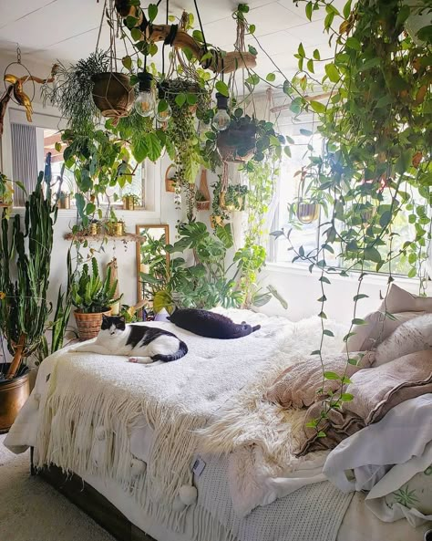 Forest Bedroom, Jungle Bedroom, Jungle House, Jungle Room, Living Vintage, Bedroom Plants, Redecorate Bedroom, House Plants Decor, Room With Plants