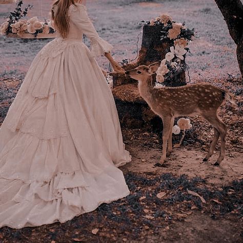 Victoria Astetic, Lucille Core Aesthetic, Victoria + Core + Aesthetic, Caraval Aesthetic, Victoria + Core, Twelve Dancing Princesses, Alice In Wonderland Illustrations, Princess Vibes, Worlds Collide