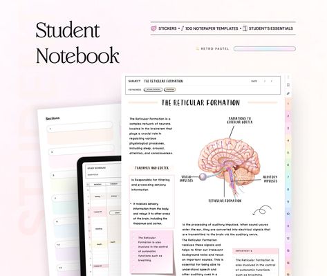 Student Digital Notebook Pastel Hyperlinked Goodnotes Templates Planner Template for Notability iPad notetaking apps college academic notes digitalplannerfreebie #goodnotestemplatesfreeplanner Academic Notes, Hyperlinked Digital Planner, Ipad Notebook, Free Notebook, Planner Writing, Notebook Templates, Notepaper, Purple Theme, Student Notebooks