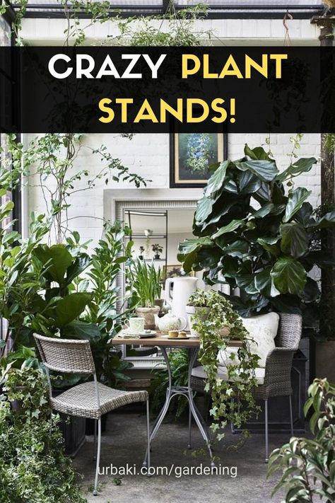 Plant Stands Diy Indoor, Plant Stand Ideas Indoor, Unique Plant Stands Indoor, Creative Plant Stands, Hanging Planter Ideas, Diy Plant Stands, Too Many Plants, Plant Stand Ideas, Potted Plants Patio