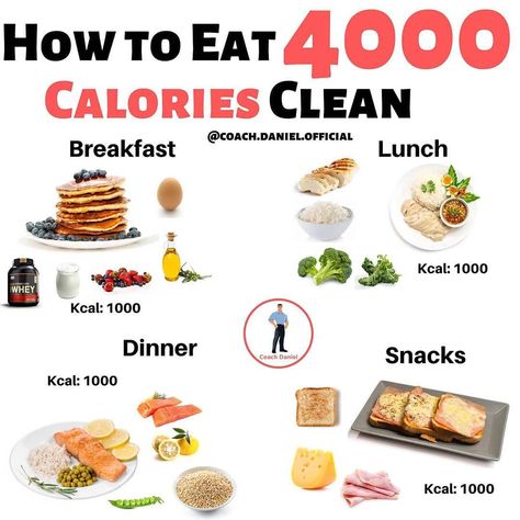 3000 Calorie Meal Plan, 4000 Calories, Best Muscle Building Foods, Bulking Meals, Bulking Diet, Muscle Gain Diet, Full Day Of Eating, Clean Breakfast, Weight Gain Diet