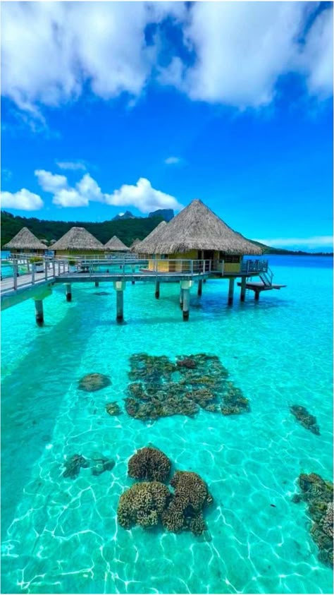 Trip To Bora Bora, Travel To Fiji, Travelling Ideas, Dream Vacations Destinations, Holiday Places, Water Ocean, Summer Goals, Dream Travel Destinations, Beautiful Pics