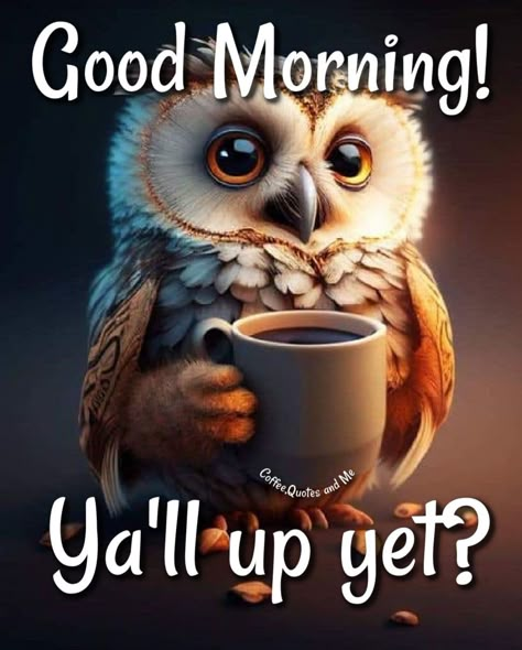 Good Morning! Y'all up yet? good morning morning coffee quotes good morning coffee quotes good morning coffee coffee quotes and sayings good morning with coffee Coffee Owls Funny, Good Morning Y'all Quotes, Funny Morning Quotes Humor Hilarious, Snowy Good Morning, Coffee Humor Hilarious Mornings Funny, Good Morning Quotes Coffee, Sarcastic Good Morning, Funny Coffee Quotes Mornings, Fall Good Morning