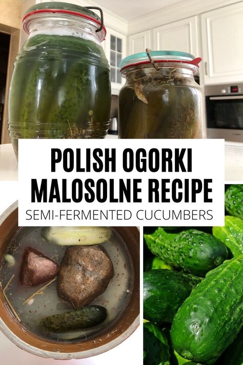 Semi-fermented pickles are delicious seasonal Polish snacks. Easy and fast to make, they are also very healthy. Check out my gradma's 3 day pickles recipe. Polish Pickles Recipe, Polish Salads, Polish Snacks, Slavic Food, Horseradish Recipes, Polish Dishes, Polish Foods, Healthy Italian Recipes, Dill Pickle Recipe