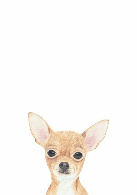 Chihuahua Illustration, Chihuahua Dog, Big Eyes, Chihuahua, Pet, Iphone, White