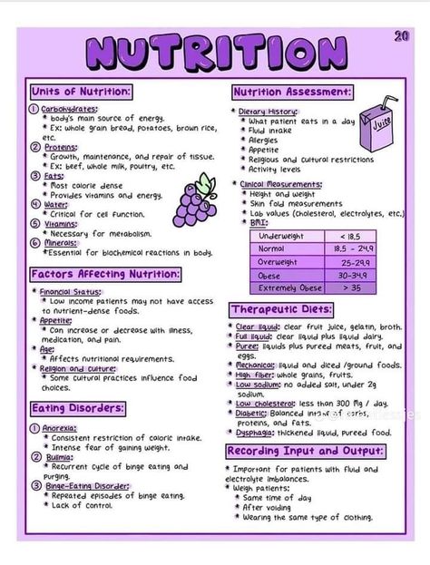 Neurology Nursing, Nursing School Studying Cheat Sheets, Nursing Study Tips, Nursing School Inspiration, Nursing School Essential, Nursing Study Guide, Nursing School Motivation, Medical School Life, Medicine Notes