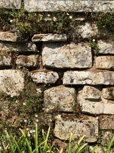 Mossy Cobblestone, Cobblestone Wall, Great Dixter, Texture Stone, Interesting Textures, European Village, Stone Floor, Old Rock, Scottish Fashion