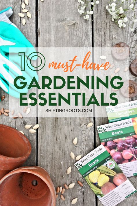 10 Vegetable Gardening Essentials First Vegetable Garden, Square Foot Garden, Growing Tomatoes In Containers, Eco Friendly Garden, Pole Beans, Square Foot Gardening, Tomato Garden, Home Vegetable Garden, Growing Tomatoes