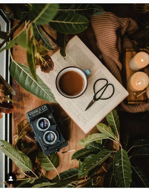 Tea Still Life Photography, Coffee Still Life Photography, Hygge Photography, Tea Still Life, Coffee Still Life, Photography Tea, Whimsical Cottagecore, Coffee Vibes, Still Life Pictures