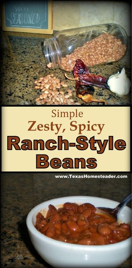 Ranch Beans Recipe, Ranch Style Beans Recipe, Ranch Style Beans, Beans In Crockpot, Pinto Bean Recipes, Chili Ingredients, Dried Peppers, Homemade Ranch, Beans Recipe