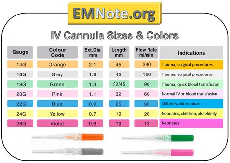 Iv Cannula, Vet Nursing, Dosage Calculations, Medical Assistant Student, New Nurse, Emergency Medicine, Nursing Education, Medical Assistant, Medical Education