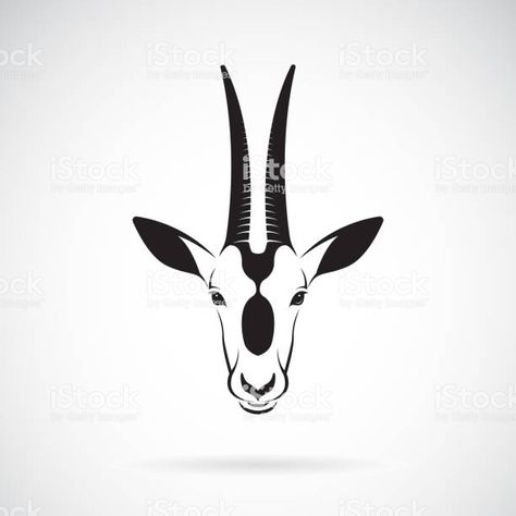 Oryx Head Vector Vector Art & Graphics | freevector.com Oryx Drawing, Oryx Tattoo, Arabian Oryx, Amazing Drawings, Face Drawing, Tattoo Inspo, Vector Graphics, Vector Art, The Internet