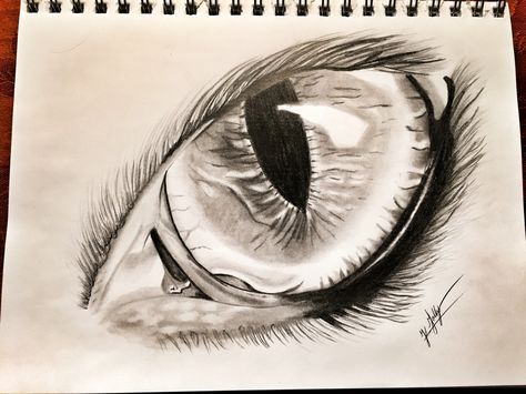 Eagle Eye Drawing, art, sketches Instagram: @just_in_artist Eagle Eye Tattoo, Eagle Face Drawing, Eagle Eye Drawing, Eagle Ink Drawing, Drawing Eagle Pencil, Eagle Charcoal Drawing, Cool Eye Drawings, Eagle Sketch, Sketch Instagram