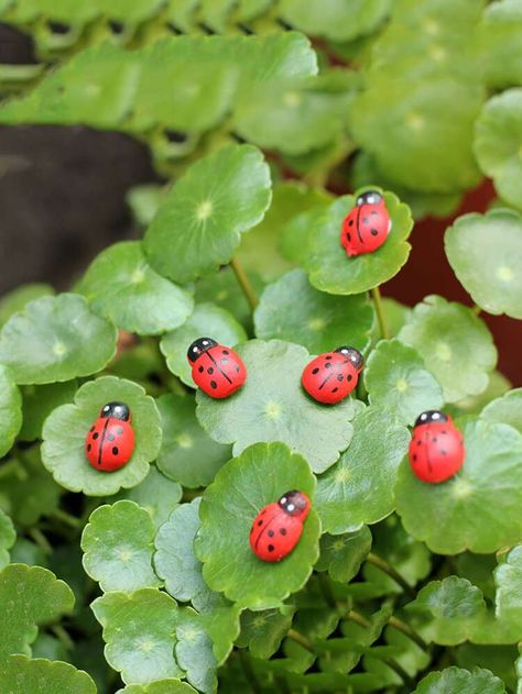 Polymer Clay Garden, Clay Garden, Ladybug Decorations, Ladybug Garden, Decorative Garden Stakes, Wood Statues, Diy Money, Clay Craft, Polymer Clay Animals