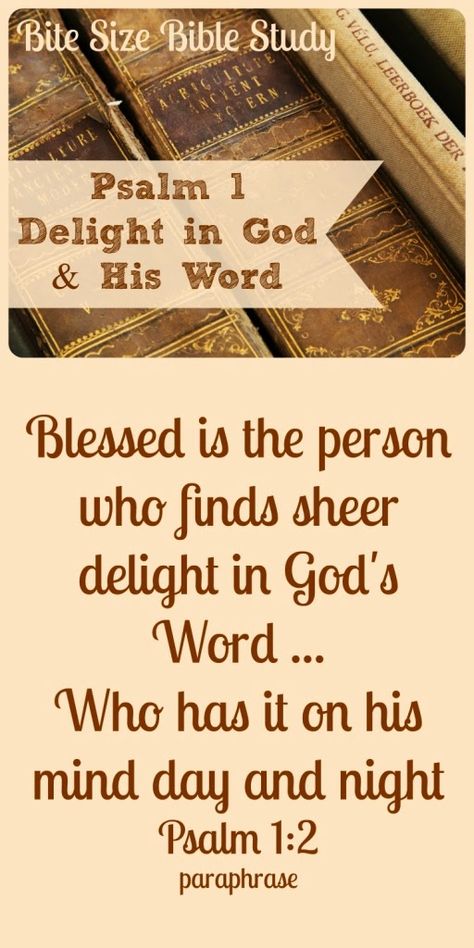 Psalm One says the key to righteousness is delighting in God's Word. This Bite Size study will encourage you to do just that. Deuteronomy 8, Bible Love Notes, Psalm 1, Prayer Life, Bible Love, Gods Word, Bible Notes, Faith Inspiration, Bible Lessons