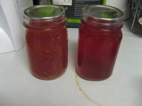 This is not exactly a recipe but more a concept.  While we were cherry picking, my mom said it would be fun to experiment making jelly out of the cherry pits.  Once home, I pitted all my pie cherri… Sour Cherry Jelly, Cherry Pit Simple Syrup, Sweet Cherry Jam Recipe Canning, Cherry Jam From Frozen Cherries, Cherry Jelly Recipes, Nanking Cherry Jelly, How To Make Jelly, Cherry Picking, Canning Jam