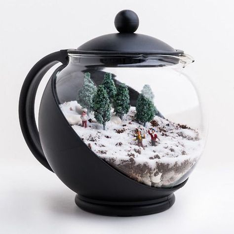 CUSTOM by Gioflorist - 004 Forest Terrarium, Terrarium Scene, Succulents In Glass, Winter Snow Globe, Plants In Jars, Christmas Diorama, The Black Forest, Snow Fairy, Table Salt