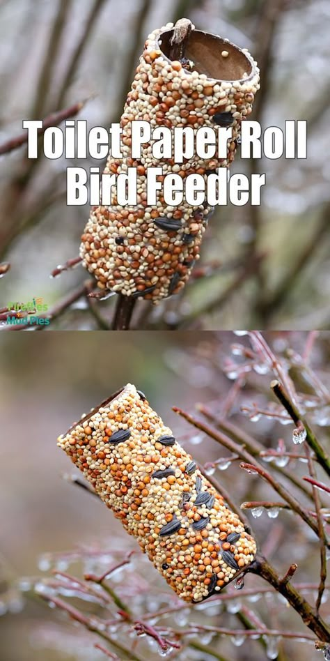 Toilet Paper Roll Bird Feeder, Paper Roll Bird Feeder, Toilet Paper Roll Bird, Bird Feeders For Kids To Make, Best Bird Feeders, Bird Feeder Craft, Bird Seed Ornaments, Homemade Bird Feeders, Diy Bird Feeder