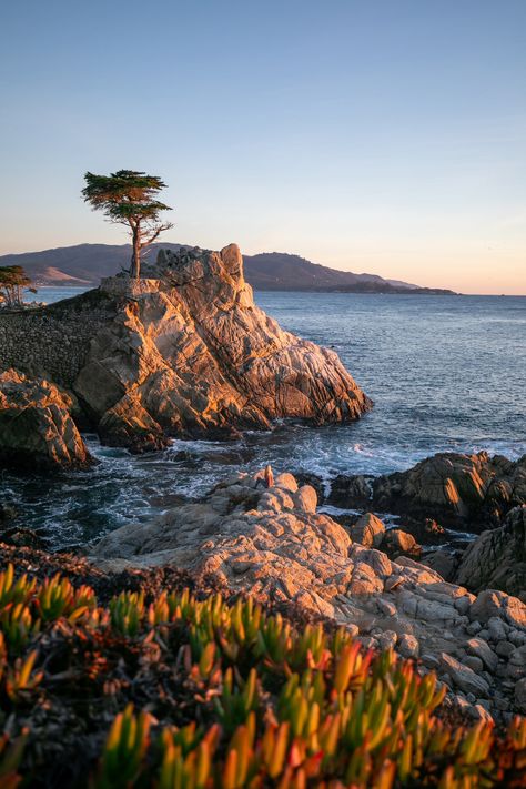 Why Quaint Carmel-by-the-Sea Suddenly Feels Cool Carmel California Aesthetic, Caramel By The Sea California, Carmel By The Sea Aesthetic, Monterey Aesthetic, Caramel By The Sea, California Beach Aesthetic, Carmel By The Sea California, Central California Coast, Summer Court