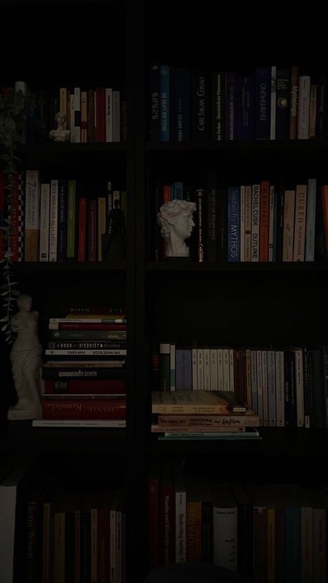 Aesthetic Bookshelves, Bookshelf Inspo, Black Bookshelf, Book 2023, Bookshelves In Bedroom, Lots Of Books, Library Aesthetic, Dark Academy, Bookshelf Styling