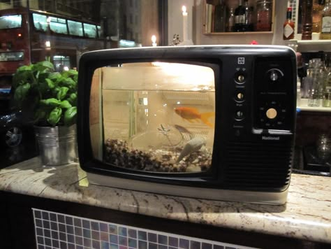 Cool Fish Tanks, Cool Fish, London Pubs, Aquascaping, Trik Fotografi, Fish Bowl, Old Tv, Goldfish, Fish Tank