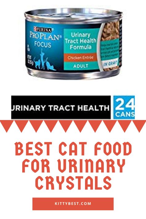 Here we discuss the best cat food for urinary crystals. Then we talk about things to know about urinary problems and we answer some common questions. Homemade Cat Treats, Pallet Deck Diy, Homemade Cat Food, Cat Diet, Health Images, Best Cat Food, Urinary Health, Homemade Cat, Raw Diet