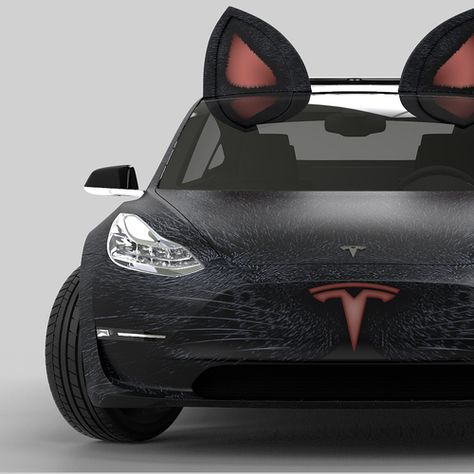 Tesla Logo, Hospital Logo, Pet Transport, Cat Nose, Van Wrap, Car Wrap Design, Pet Cremation, Tesla Car, Like A Cat