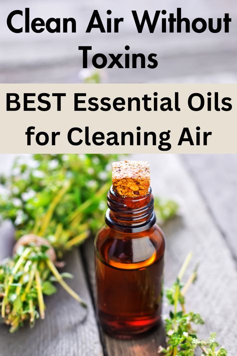 best essential oil for cleaning Essential Oils For Cleaning Air, Essential Oil To Clean The Air, Essential Oils For Clean Air, Diy Air Purifier Essential Oils, Essential Oils To Purify The Air, Air Purifying Essential Oil Blend, Clean Air Essential Oil Diffuser Recipes, Best Essential Oils For Cleaning, Essential Oils To Clean The Air Of Germs