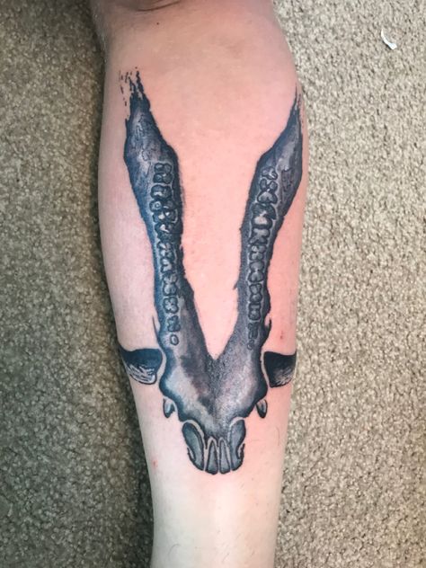 Hinters pig skull jaw bone black grey calve tattoo Pig Skull Drawing, Pig Hunting Tattoos, Pig Skull Tattoo, Hog Skull Tattoo, Wild Pig Tattoo, Koi Fish Drawing Tattoo, Pig Skull, Koi Fish Drawing, Jaw Bone