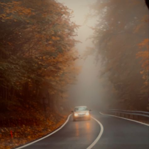 Beautiful misty road during autumn Autumn Spotify Cover, Music Fall Aesthetic, Car Drive Aesthetic, Autumn Music, Drive Aesthetic, Whisper Bg, Driving Aesthetic, Crunchy Leaves, Inktober 2024