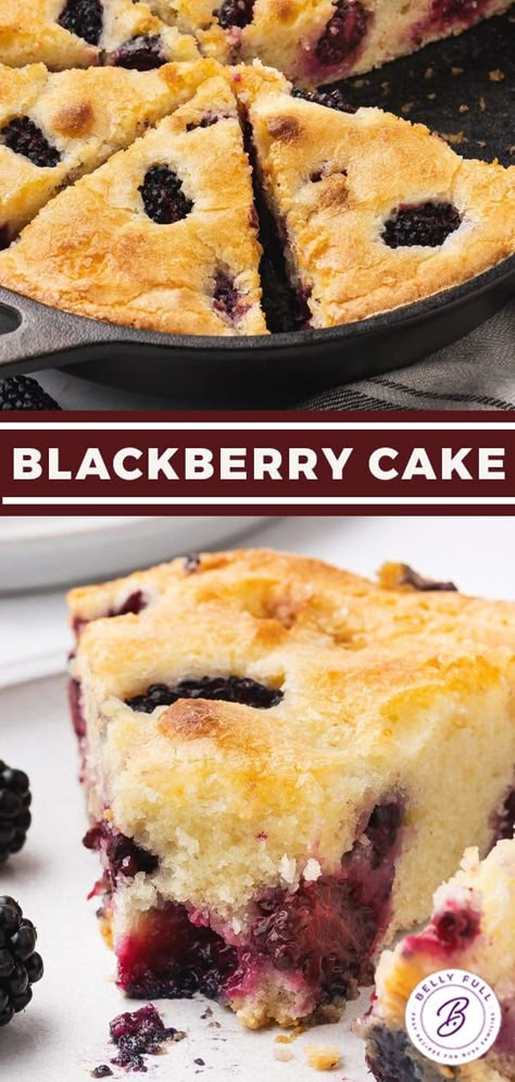 Easy Blackberry Cake - Belly Full Blackberry Bunte Cake, Blackberry Buttermilk Cake, Blackberry Bread Recipes Easy, Blackberry Strawberry Recipes, Blackberry Sheet Cake, Blackberry Cake Recipe Easy, Blackberry Ricotta Cake, Blackberry Dessert Recipes Healthy, Easy Blackberry Dessert