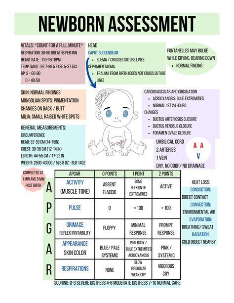 Newborn Assessment #medschool #doctor #medicalstudent - Image Credits: RN_StudyBuddy | Nursing School | Nursing Students