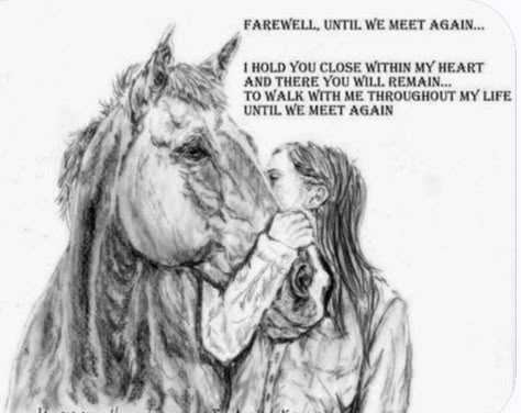 Losing Horse Quotes, Heart Horse Quote, Losing A Horse Quotes, Loss Of A Horse, Losing A Best Friend, Horse Love Quotes, Equestrian Motivation, Horse Shadow Box, Horse Poems