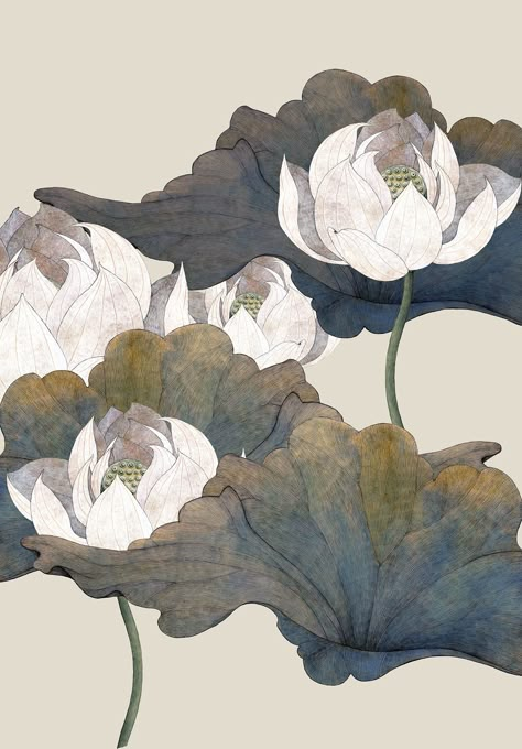 “Lotus Land” on Behance Lotus Drawing, Lotus Flower Art, Lotus Painting, Lotus Art, Colossal Art, Botanical Drawings, Chinese Painting, Water Lilies, Botanical Illustration