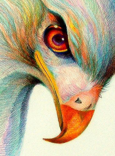 two-decade colored pencil on vellum paper, 5 x 7. Colored Pencil Art, Drawing Hair, Art Pastel, Colored Pencil Drawing, Coloured Pencils, Arte Animal, Color Pencil Art, Pencil Portrait, Color Pencil Drawing