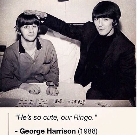 George Beatles, Beatles Funny, Richard Starkey, Beatles George, With The Beatles, Beatles Photos, Beatles Pictures, Beatles Fans, Musica Rock