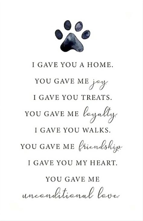 Having To Put Your Dog Down Quotes, Rescue Dogs Quotes, Dead Dog Quotes, Soul Dog Quotes, Rip Dog Quotes, Pet Prayers, Aaron Minyard, Pets Quotes, German Shepherd Quotes