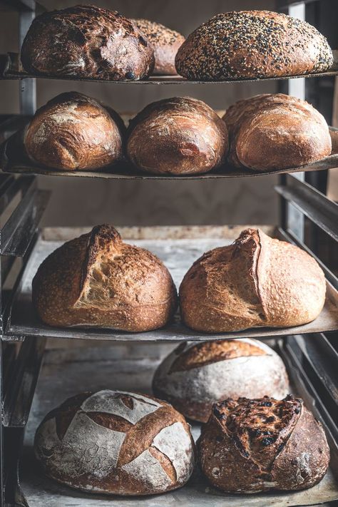 dough, sourdough, bread, bread making, sourdough bread, loaf, loaves, photography, styling, food, food photography, new zealand, flour, bakery, rack, racks Bread And Roses, Bakery Store, New Zealand Food, Bread Baker, Sourdough Bread Recipe, Our Daily Bread, Bakery Bread, Food Photographer, Sourdough Recipes