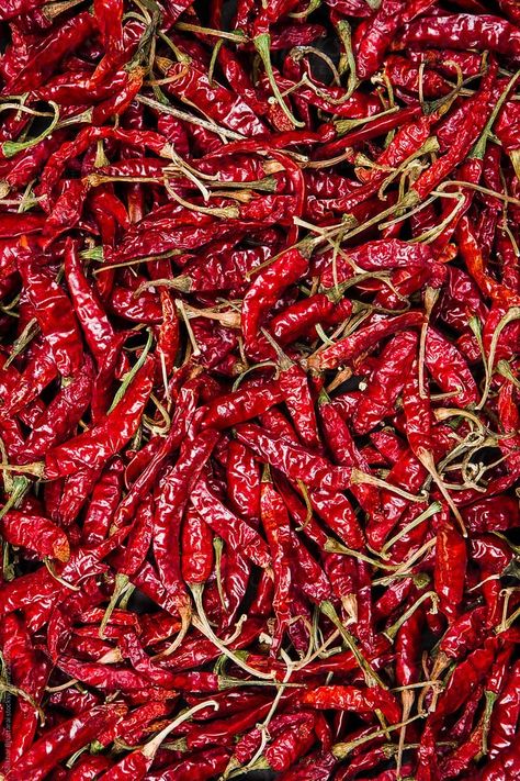 Natural Pesticides, Spicy Seasoning, Colors Inspiration, Fruits Images, Hot Peppers, Red Chili Flakes, Fruit Photography, Spicy Chili, Beautiful Fruits