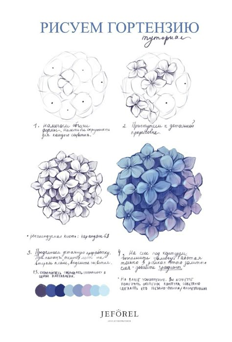 Watercolor Hydrangea Step By Step, Trin For Trin Tegning, Hydrangeas Art, Flower Drawing Tutorials, Flower Art Drawing, Diy Watercolor Painting, Floral Drawing, 수채화 그림, Watercolor Art Lessons