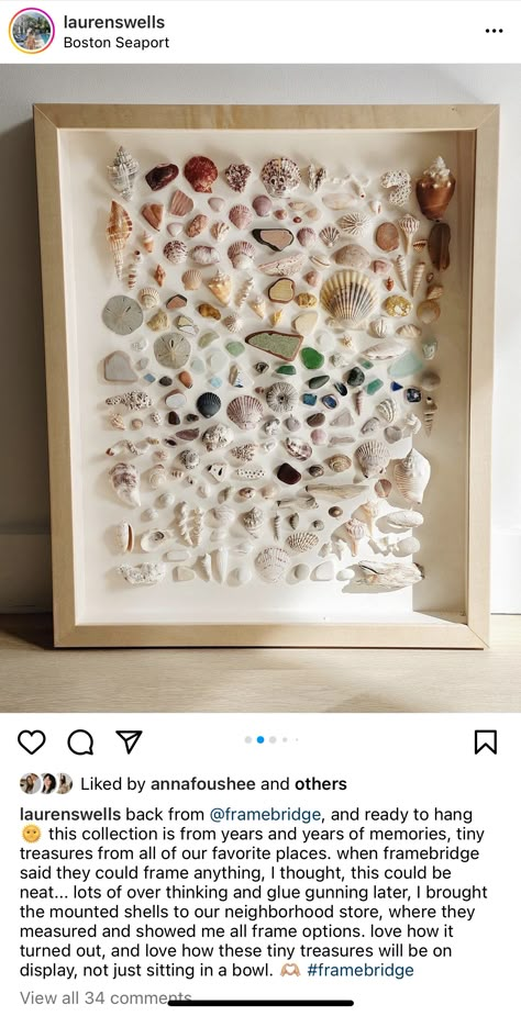 Shells Display Ideas, Seashell Storage Ideas, Framed Seashell Art, Seashell Plaster Art, Seashell Shadow Box Ideas, How To Display Sea Shells, Seashell Collection Display, Shell Mosaic Diy, Shadow Box Shell Art