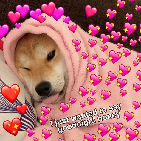 Cute Memes For Him Goodnight, Goodnight Wholesome Pic, Good Night Crush, Goodnight Wholesome, Goodnight Reaction Pic, Anime Goodnight, Goodnight Aesthetic, Goodnight Meme, Goodnight Cat