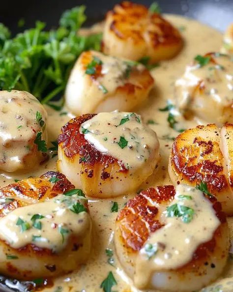 Cajun Scallops in Creamy Sauce: A Delectable Dinner Delight Orzo Scallop Recipes, Scallops With Hollandaise, Scallops And Crab Recipes, Scallop And Bacon Recipes, Scallops In Sherry Cream Sauce, Shrimp And Bay Scallop Recipes, Bacon Wrapped Scallops Sauce, Steak And Scallops Recipes Dinners, Scallops In Cream Sauce