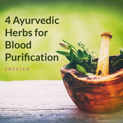 Blood plays an integral part in our body as it carries oxygen from the lungs to our blood cells as well as keeps our body in balance. Hence on the occasion of World Blood Donor Day, we would like to discuss a bit more about how impurities are formed in our blood, how to avoid them by using ayurvedic herbs and recipes that you can add to your diet. #ayurveda #bloodpurification Blood Purifying Herbs, World Blood Donor Day, Blood Donor Day, Blood Donor, Ayurvedic Herbs, Blood Cells, Lungs, Our Body, Ayurveda