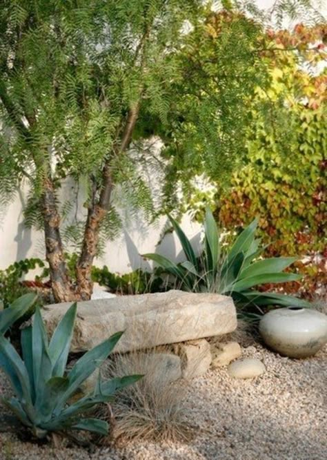 Mediterranean Garden Design, Drought Tolerant Garden, Dry Garden, Gravel Garden, Stone Bench, Garden Area, Desert Garden, Mediterranean Garden, Native Garden