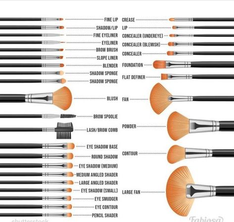 Which brush is used for what Bamboo Makeup Brushes, Affordable Makeup Brushes, How To Apply Bronzer, Essential Makeup Brushes, Brightening Skincare, Eyeshadow Brush Set, Rhinestone Makeup, Makeup Brushes Guide, Makeup Hacks Beauty Secrets